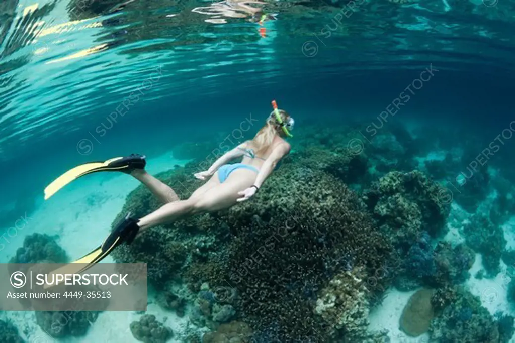 Snorkeling at Risong Bay, Risong Bay, Micronesia, Palau