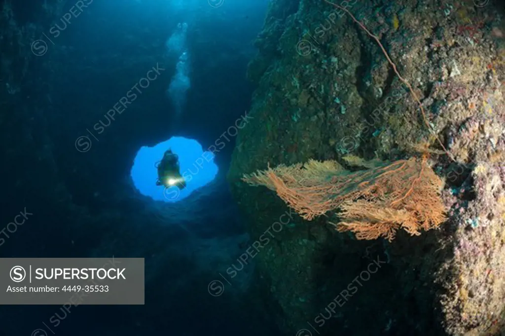 Diver at upper Entrance of Blue Hole Cave, Micronesia, Palau
