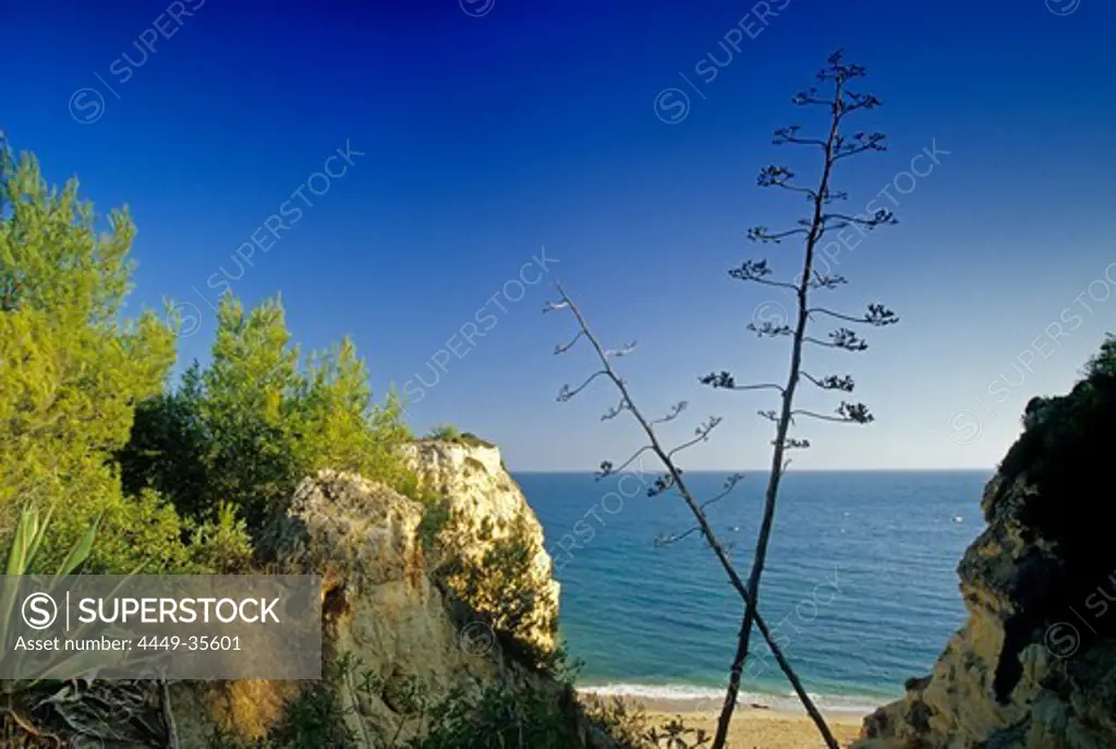 Beach and rocky coast under blue sky, Praia da Marinha, Algarve, Portugal, Europe