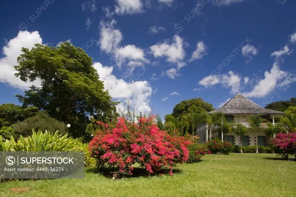 Sir Seewoosagur Ramgoolam Royal Botanical Garden of Pamplemousses, Mauritius, Africa