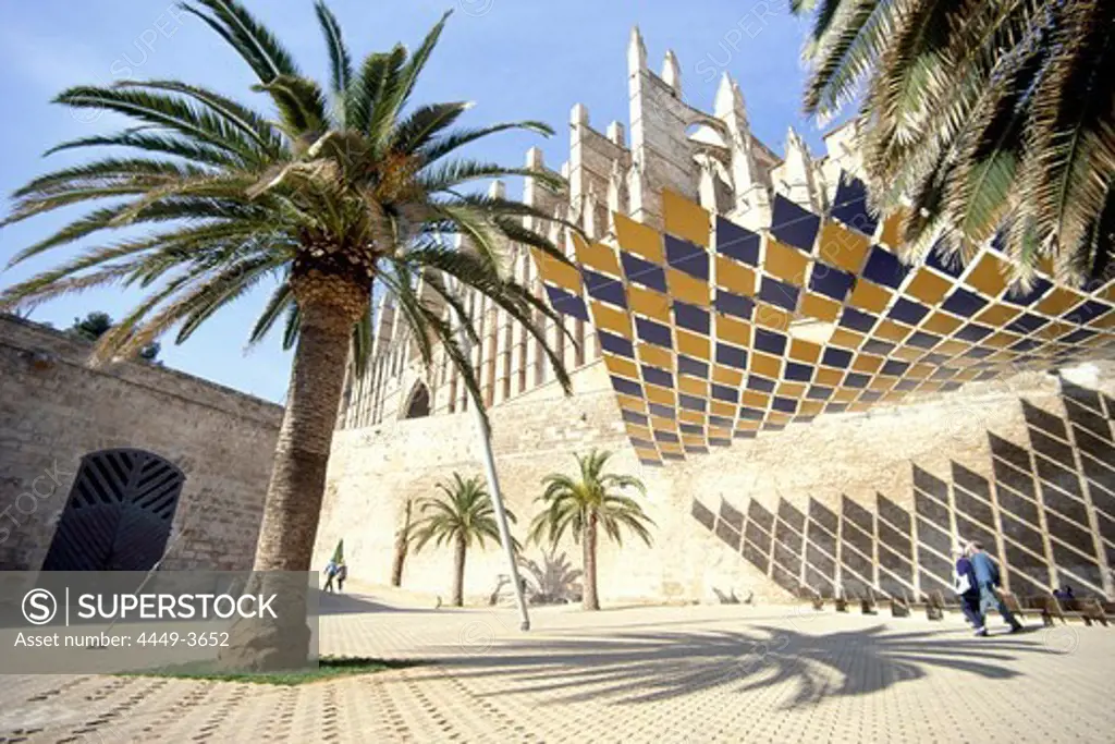 Square with palm tree in front of the Cathedral La Seu, Palma, Majorca, Spain