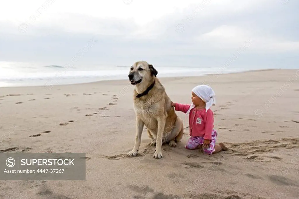 A 1 year old girl stroking a dog on the beach, Anatolien Shepherd, Punta Conejo, Baja California Sur, Mexico