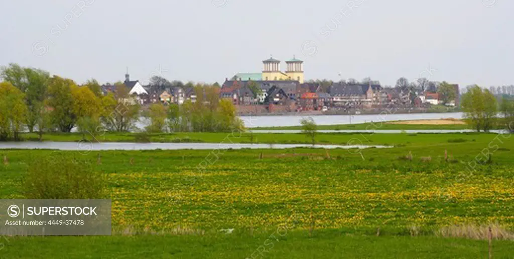 spring, view over the pastures of the river Rhine on Rees, Niederrhein, North Rhine-Westphalia, Germany, Europe
