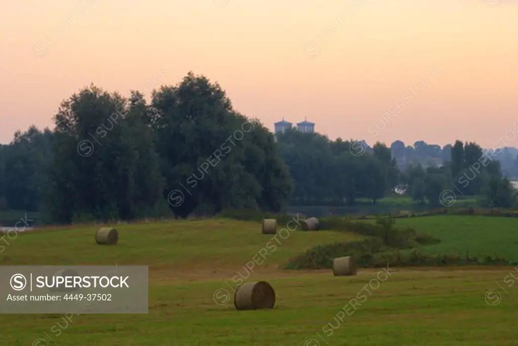 View over the pastures of the river Rhine at Rees, Late summer, Morning, Lower Rhine, North Rhine-Westphalia, Germany, Europe