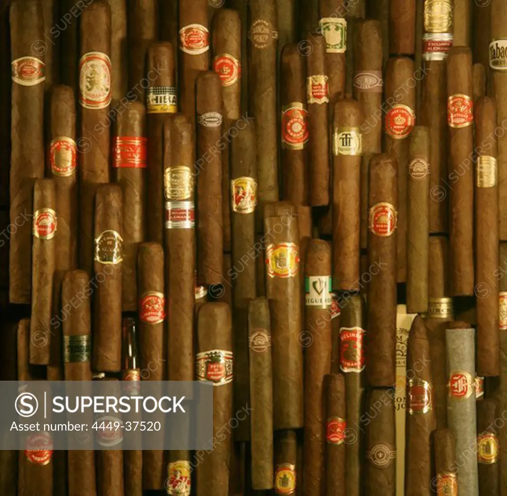 Cuban cigars, Close-up, Cuba, Carribean, North America, Amerika