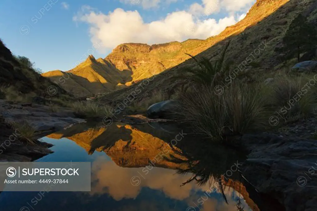 Reflection of the mountain Faneque on a creek, Barranco del Charco Azul, Valley of El Risco, Parque Natural de Tamadaba, Gran Canaria, Canary Islands, Spain, Europe