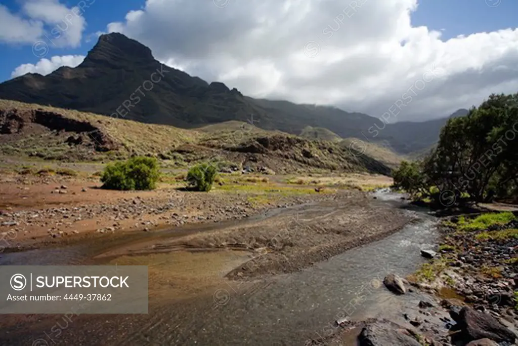 Brook in the valley of El Risco under clouded sky, Faneque mountain, Parque Natural de Tamadaba, Gran Canaria, Canary Islands, Spain, Europe