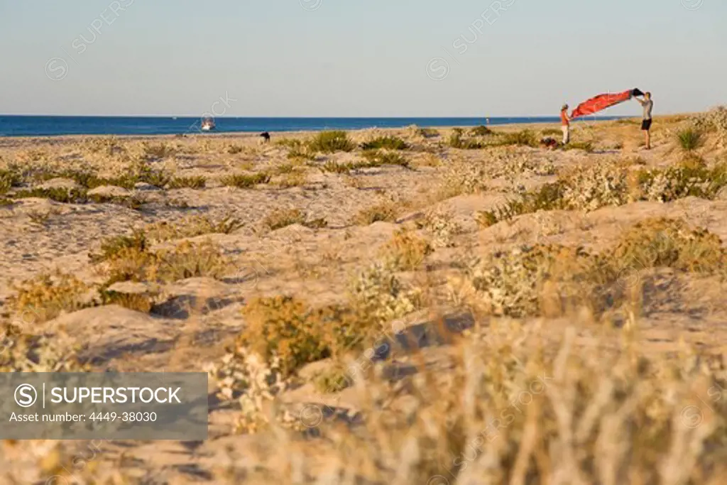 Two person folding up their red tent, Morning light, camping on the beach, beach on the Ilhe de Tavira, Tavira, Algarve, Portugal