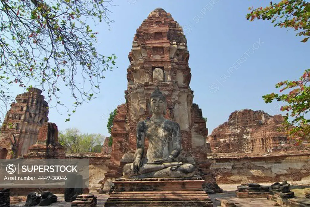 Buddha in front of prang, Ayutthaya, Wat Mahatat, Thailand, Asia