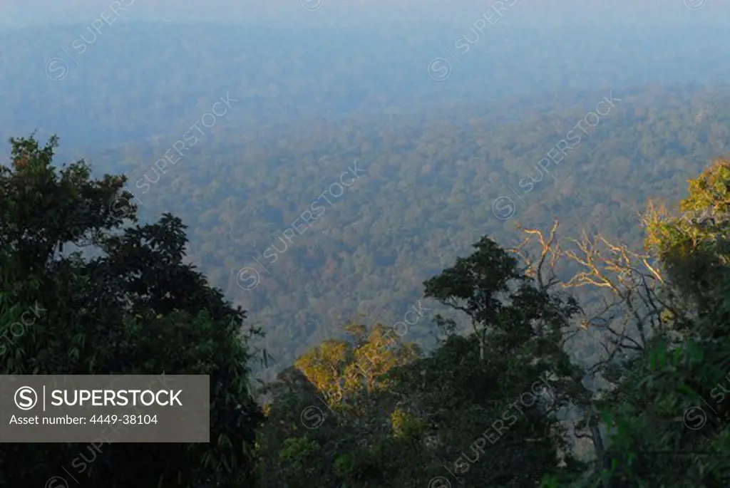 Jungle and mountain view of Khao Yai National Park, Province Khorat, Thailand, Asia