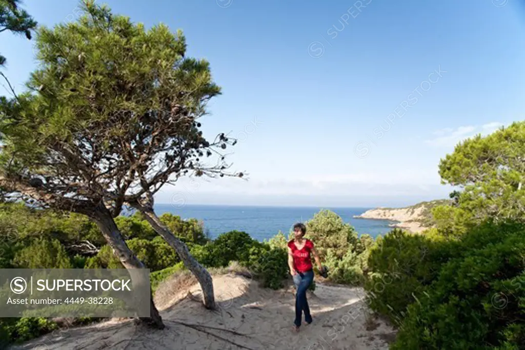 View over the sea, woman in the shadow of pine trees, Porto Pino, Sardinia, Italy, Europe