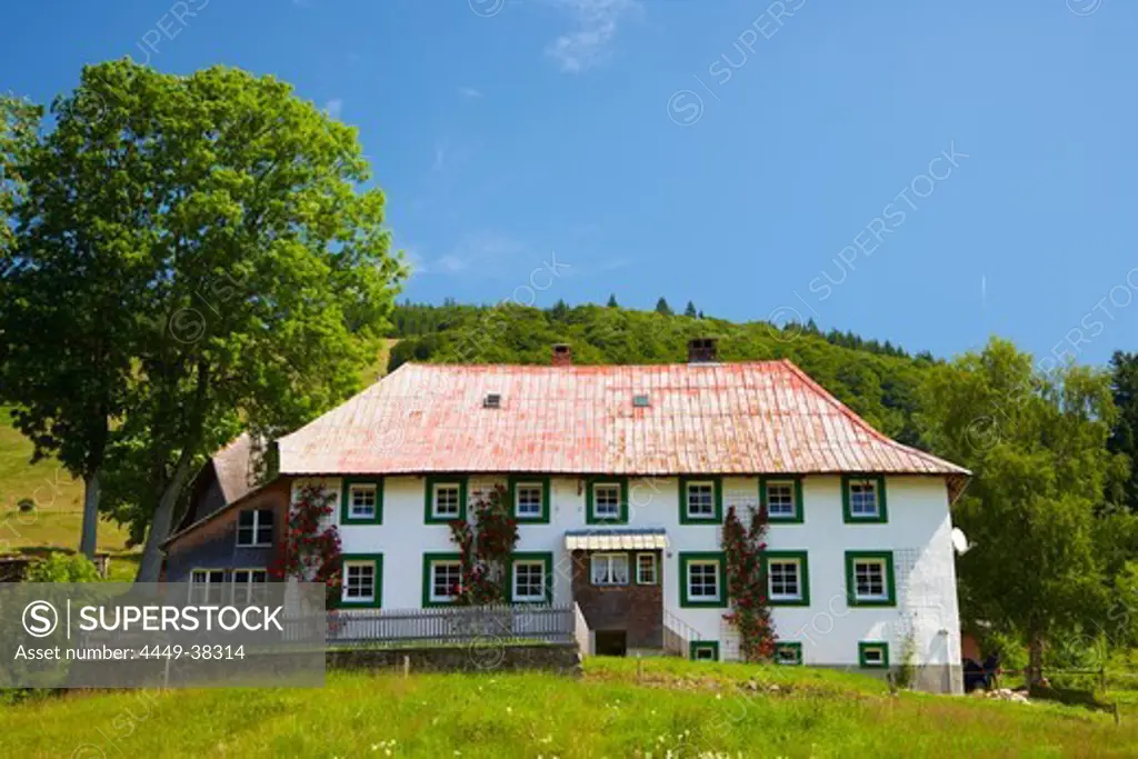 Farmhouse with Garden at Bernau - Hof, Summer, Black Forest, Baden-Wuerttemberg, Germany, Europe