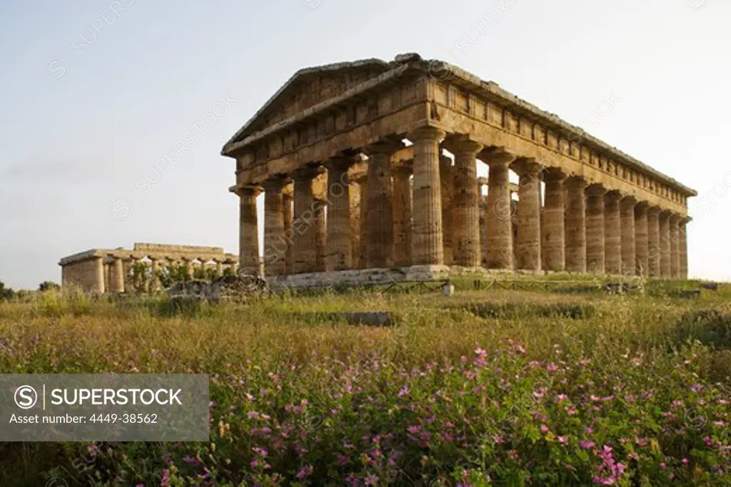 Temple of Hera, dedicated to Poseidon, UNESCO World Cultural Heritiage, Paestum, Cilento, Italy