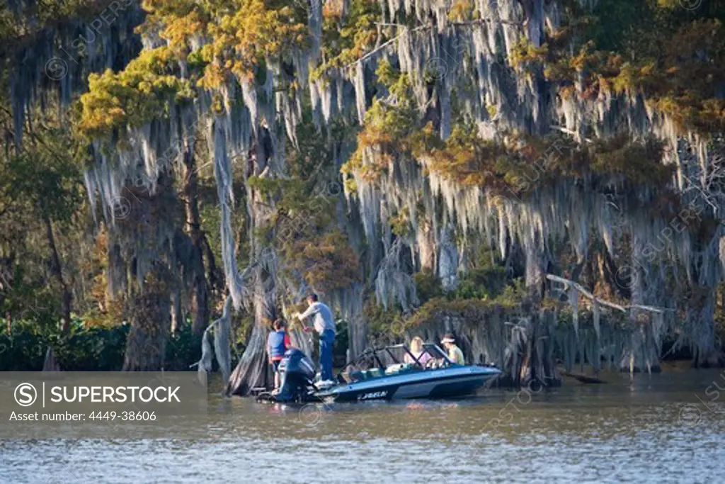 Men fishing close to a cedar tree near Attakapas Landing on Lake Verret, near Pierre Part, Louisiana, USA