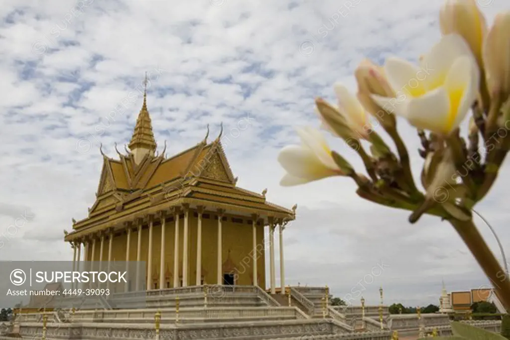 Blossom in front of the Temple Prasat Nokor Vimean Sour, Udong, Phnom Penh Province, Cambodia, Asia