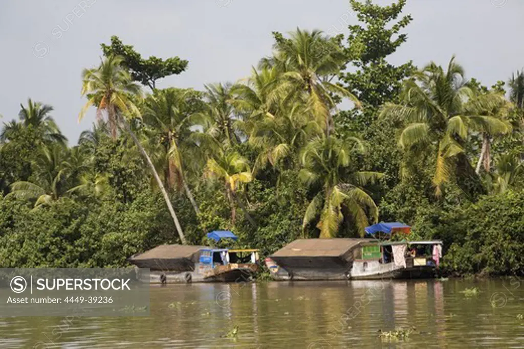 Boats on the Mekong River, Mekong Delta, Can Tho Province, Vietnam, Asia