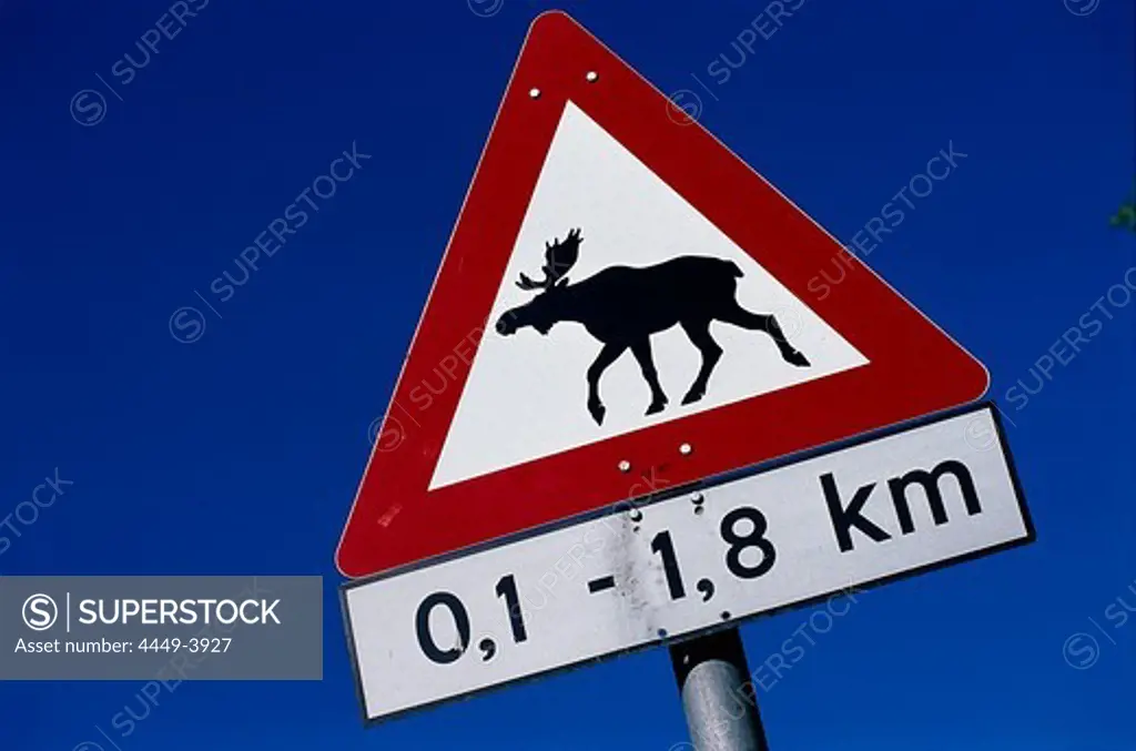 Elk Traffic Sign, Western Middle Norway