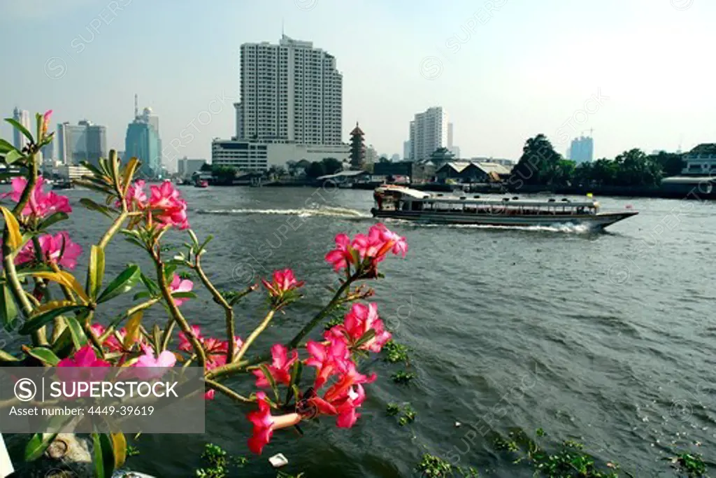Pot with flowers at the Mae Nam, Menam Chao Phraya river, Chinatown, Samphan Thawong, Samphanthawong district, Bangkok, Krung Thep, Thailand, Asia