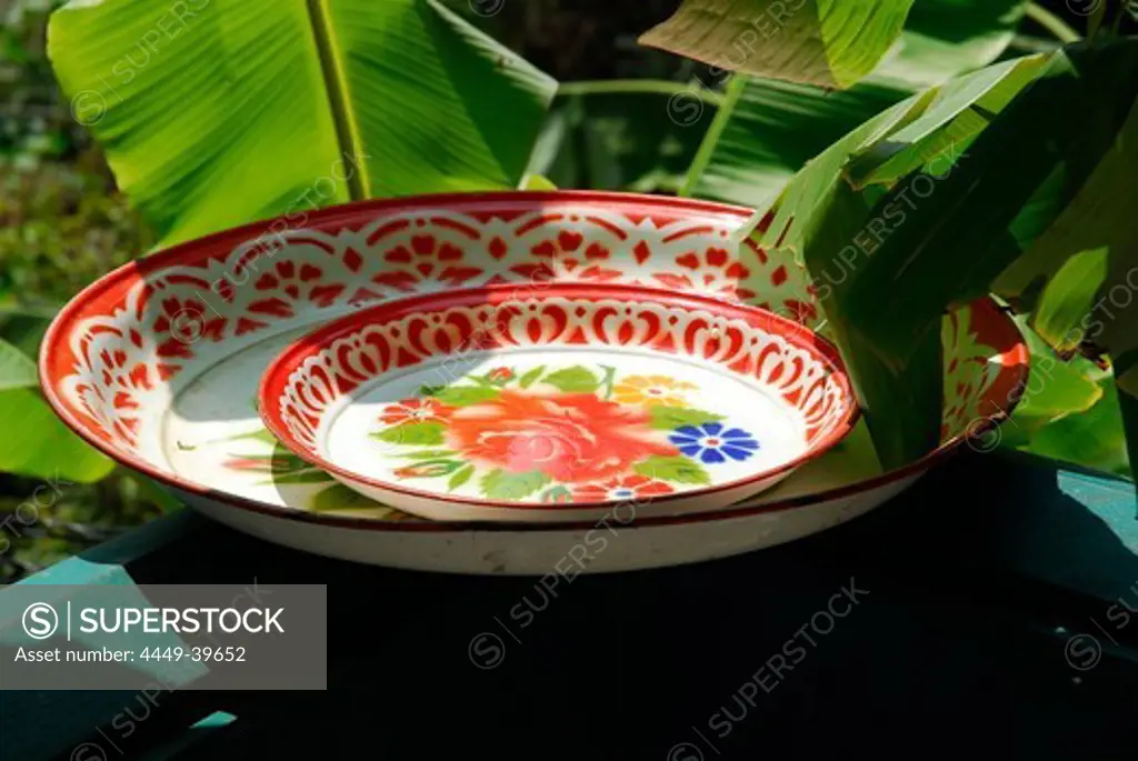 Dish or bowl in a garden near Ban Klong Son, Koh Chang Island, National Park Mu Ko Chang, Trat, Gulf of Thailand, Thailand, Asia