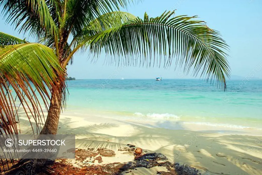 Tropical beach with palm tree, Koh Wai Island, Koh Chang archipelago, National Park Mu Ko Chang, Trat, Gulf of Thailand, Thailand, Asia
