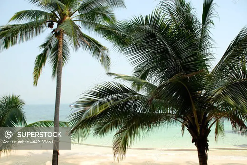 Tropical beach with palm trees, Koh Wai Island, Koh Chang archipelago, National Park Mu Ko Chang, Trat, Gulf of Thailand, Thailand, Asia