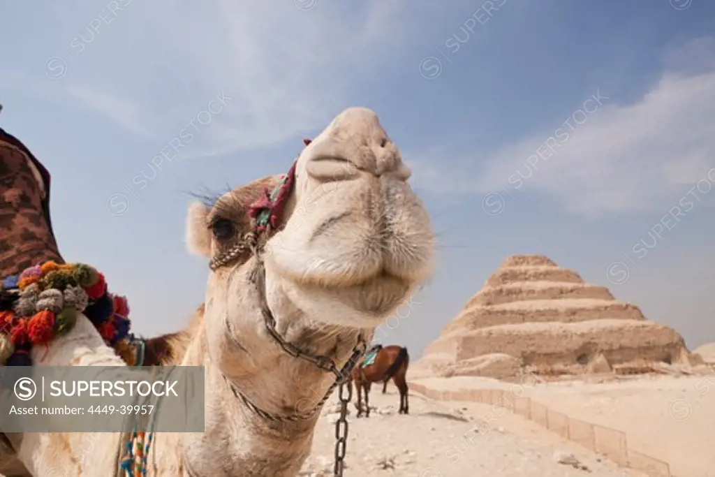Saqqara Step Pyramid of Pharaoh Djoser, Egypt, Saqqara