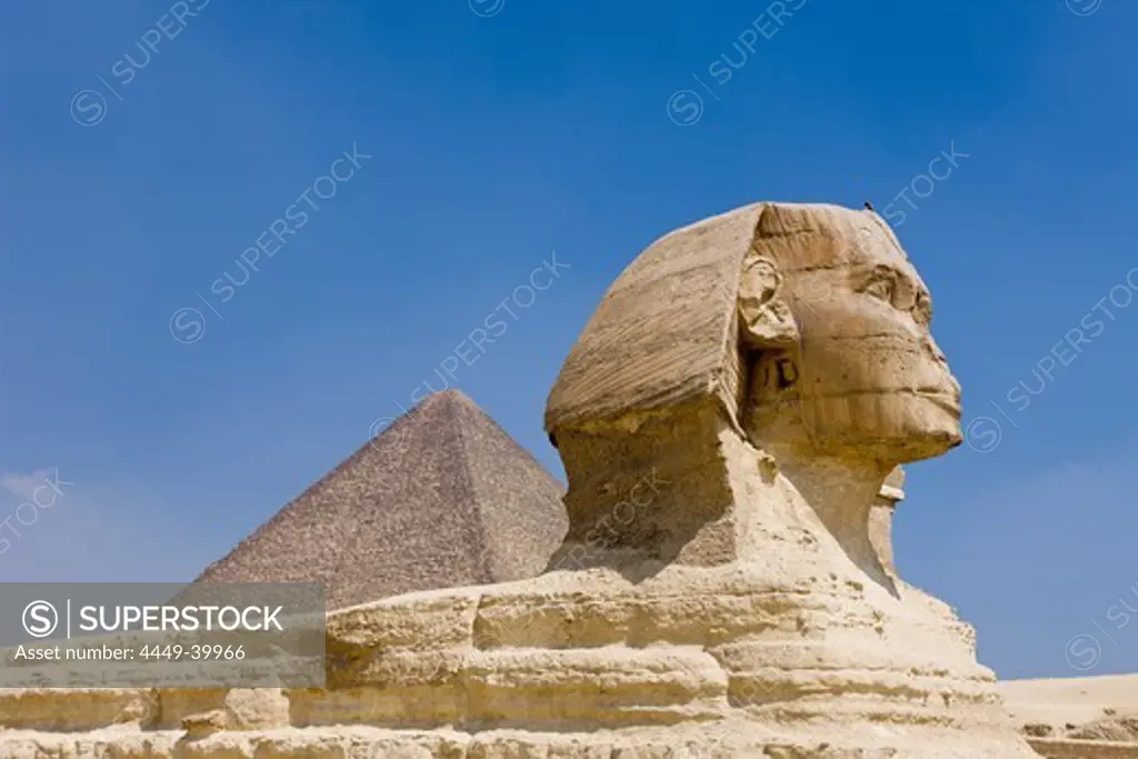 Great Sphinx of Giza against Cheops Pyramid, Egypt, Cairo