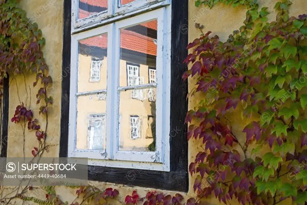 detail, window in courtyard, convent Mariensee, Lower Saxony, Germany