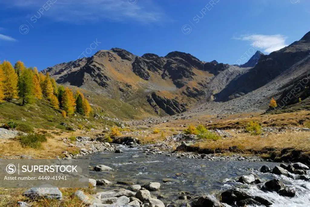 Mountain stream, valley Zufritt, Ortler range, Trentino-Alto Adige/South Tyrol, Italy
