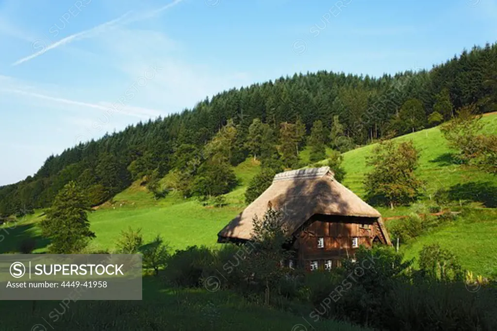 Farm house, Gutach, Baden-Wurttemberg, Germany