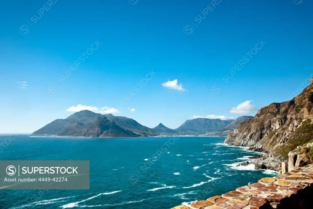 Cape Peninsula, Western Cape, South Africa, Africa