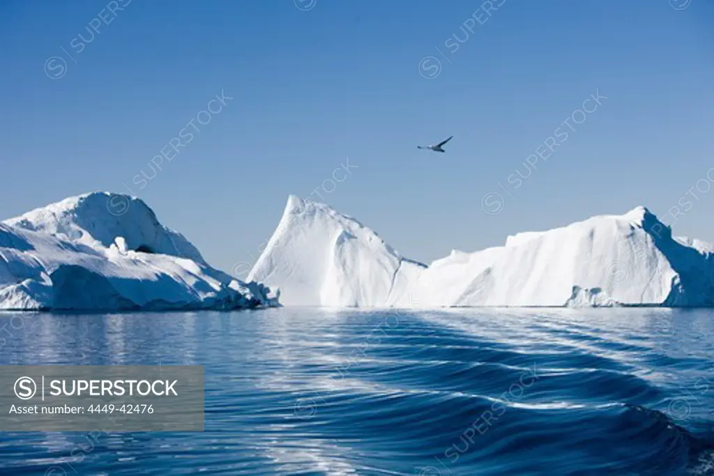Icebergs of Ilulissat Kangerlua Isfjord in the sunlight, Disko bay, Kitaa, Greenland