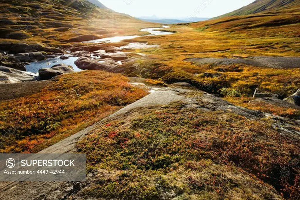 River scenery in the Storengdalen in autumn, Surfjellet Saltar, Norway, Scandinavia, Europe