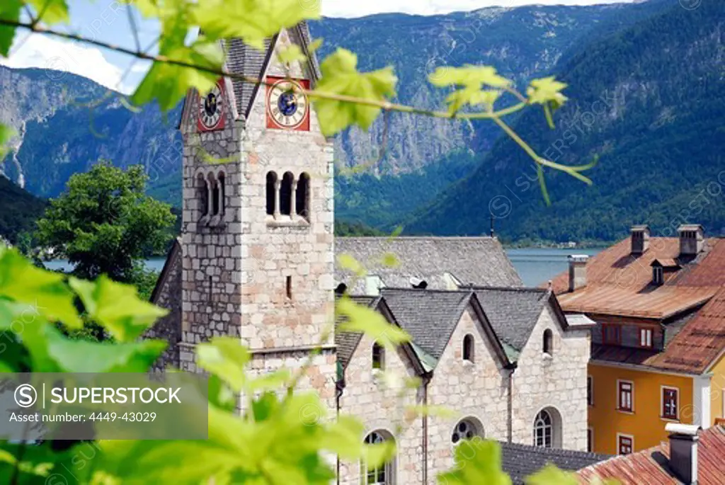 Protestant church and leaves of a grapevine, Hallstatt at the Hallstaetter See, Hallstaetter Lake, UNESCO world heritage, Salzkammergut, Oberoesterreich Alps, Austria, Europe