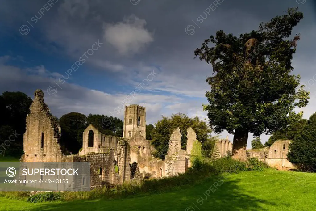 Fountains Abbey, Ripon, North Yorkshire, England, Great Britain, Europe, Fountains Abbey is one of the largest and best preserved Cistercian houses in England. It is a Grade I listed building and owned by the National Trust. It is a UNESCO World Heritage Site.