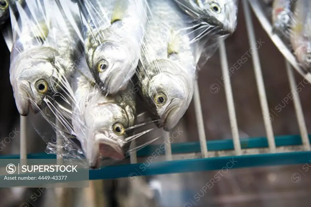 Fish in Restaurant Doga Balik, Istanbul, Turkey