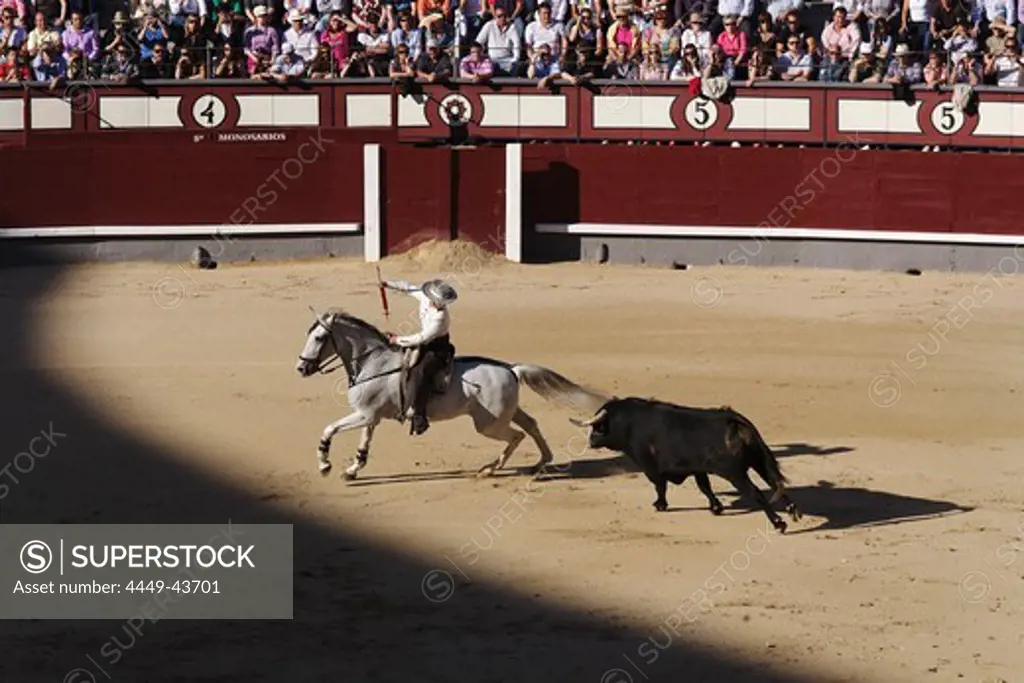 Bullfight (Corrida de Toros), Las Ventas bullring, Madrid, Spain