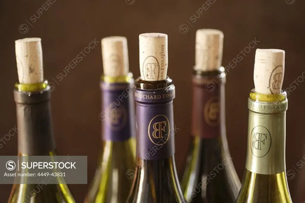 Wine bottles with corks