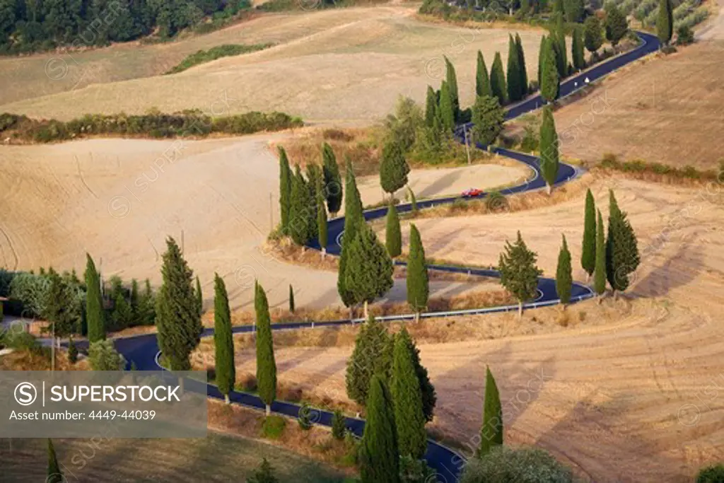 Alley of cypresses in Monticchiello, Tuscany, Italy