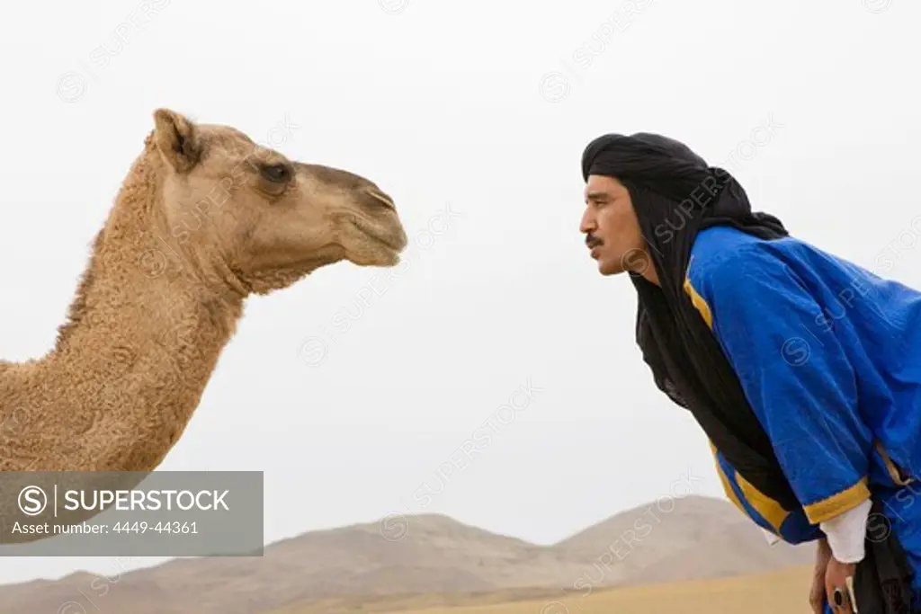 Berber and camel in the Sahara desert, Morocco