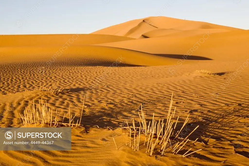 Sand dunes, Dunes de Juifs in the desert near Zagora, Sahara, Morocco