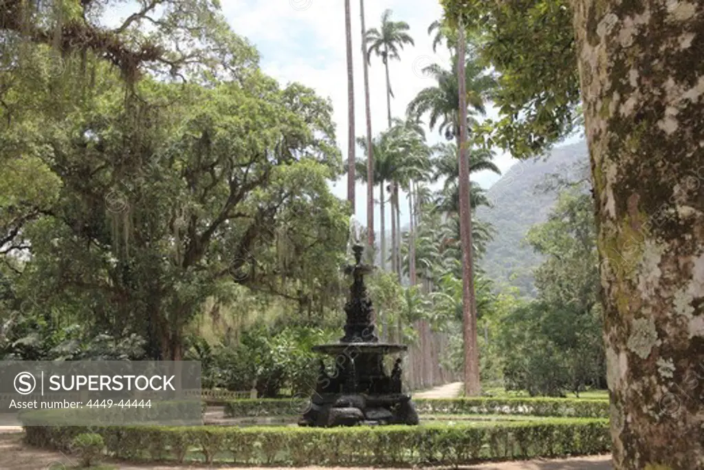 Fountain in the Jardim Botanico, Botanical Garden, tropical park in Rio de Janeiro, Brazil
