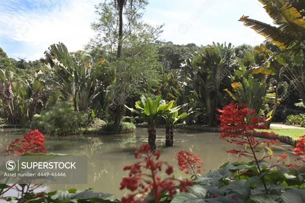 Jardim Botanico, Botanical Garden, tropical park in Rio de Janeiro, Brazil