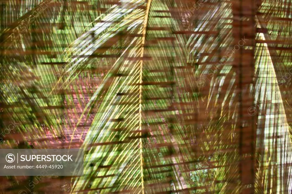 Sun protection made of bamboo where you can see coconut trees shining trough, Surya Lanka Ayurveda Beach Resort, Talalla, Matara, South coast, Sri Lanka, Asia