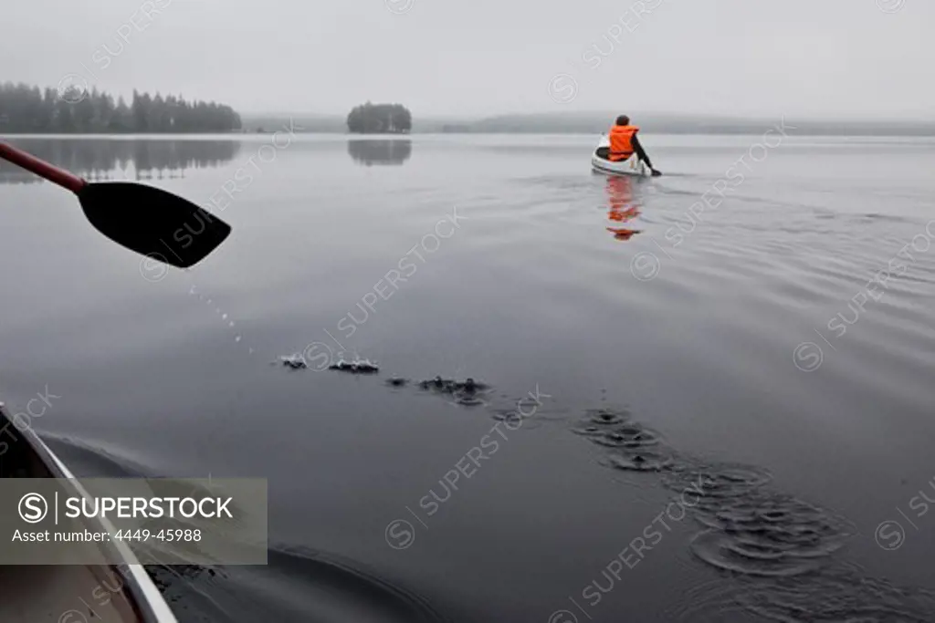 Two men in canoes on the lake of Trehoerningsjoe, Vaesternorrland, Sweden, Europe