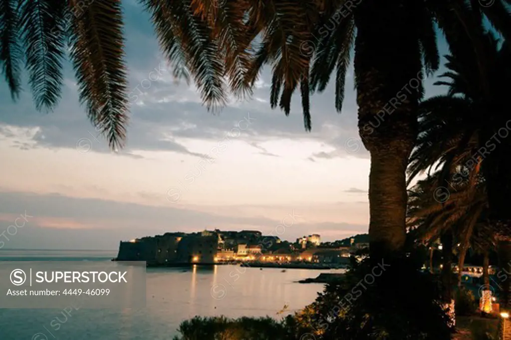 Palm trees and old Town Center of Dubrovnik at sunset, Dalmation Coast, Croatia