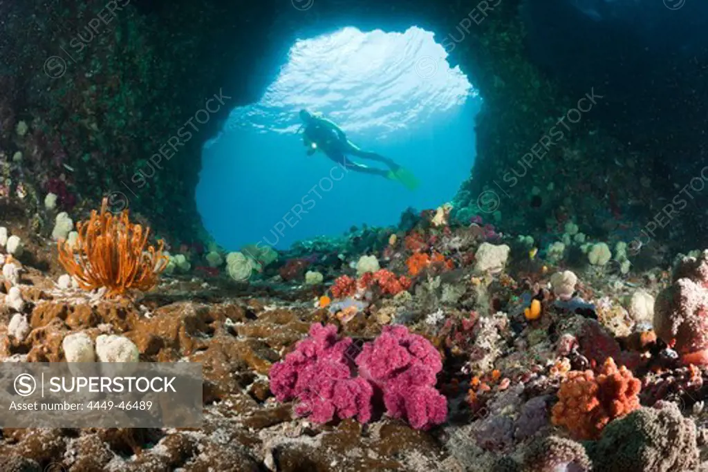 Scuba Diver in Grotto, Raja Ampat, West Papua, Indonesia