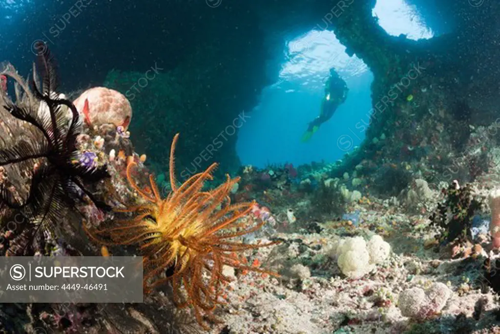 Scuba Diver in Grotto, Raja Ampat, West Papua, Indonesia