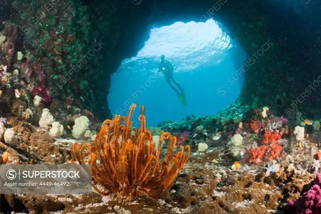 Scuba Diver in Grotto, Raja Ampat, West Papua, Indonesia