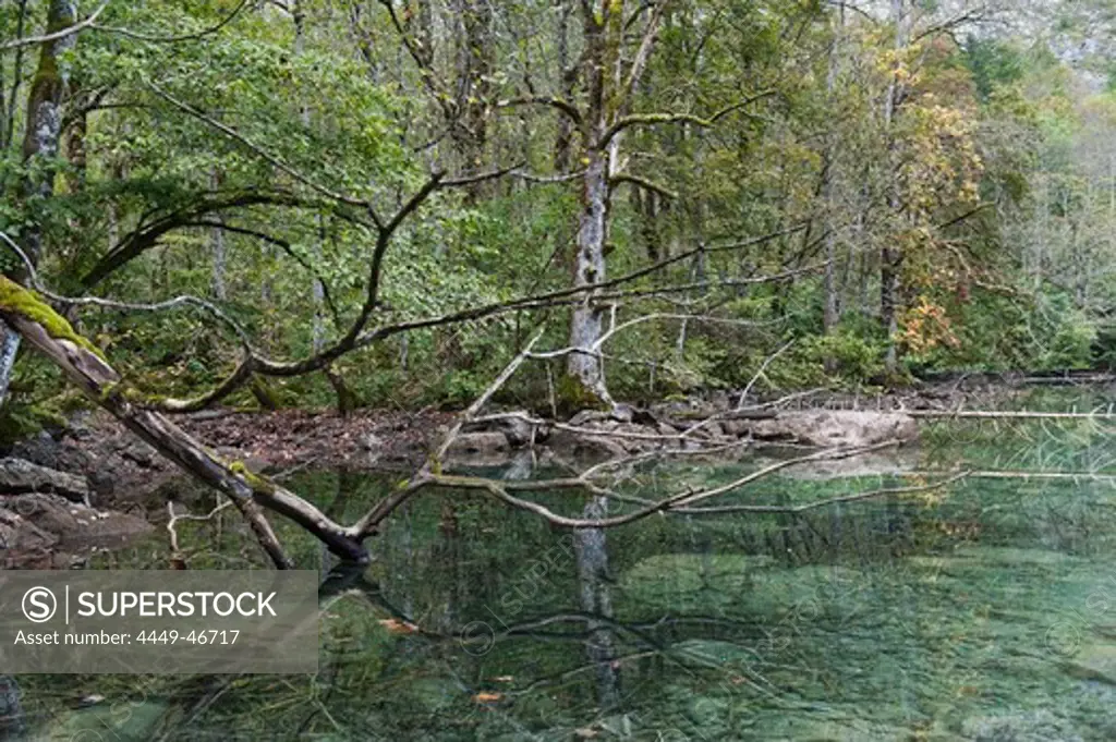 Scenery at lake Obersee, Berchtesgadener Land, Upper Bavaria, Germany